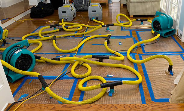Professional Crawl Space Water Removal technician working in Chesapeake, OH